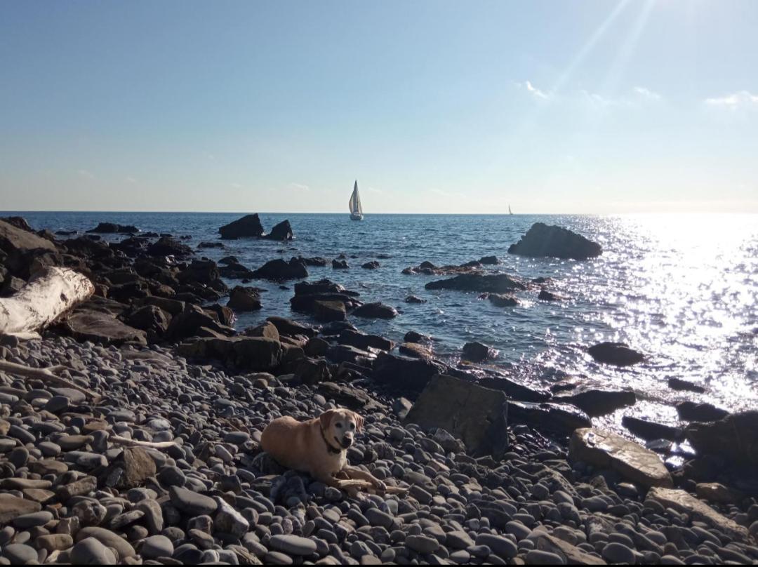 Cluxury-Torre Dei Saraceni Boutique Apt By The Sea Beach, Pool,Private Jacuzzi, Parking Черво Екстер'єр фото